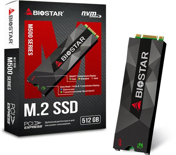 Biostar M500 512GB M2.0 SSD