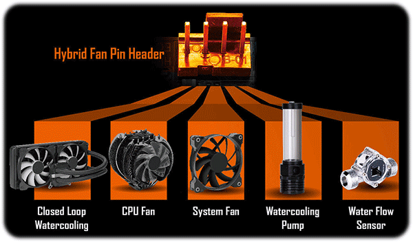 https://cdn.lioncomputer.com/images/2020/08/17/hybrid-fan-pin-header230a37c9ce4a03c9.png