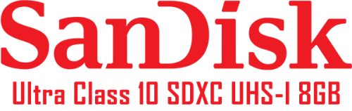 Sandisk-Ultra-Class-10-SDHC-UHS-I-8GBb7f34af4f9c8f51a.png