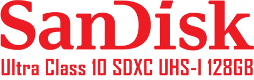 Sandisk-Ultra-Class-10-SDHC-UHS-I753c356bb17d1d5b.png